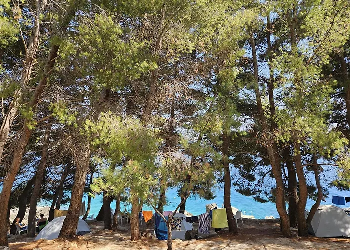 Pine Side Camp