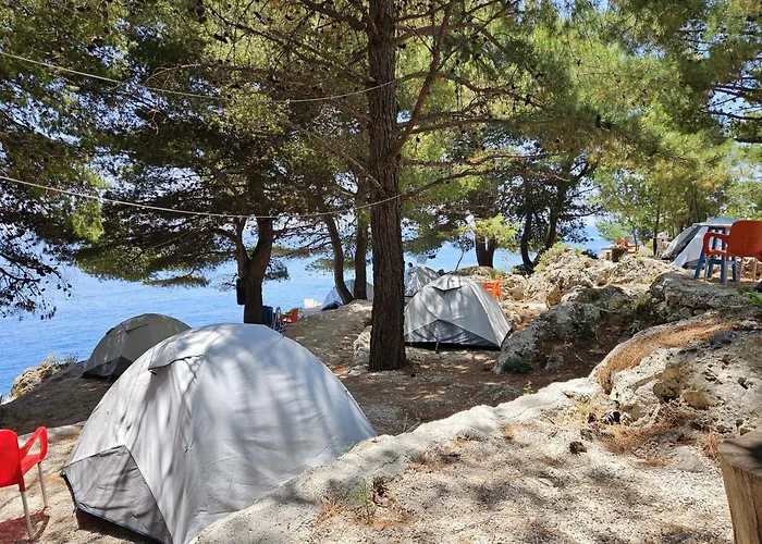 Pine Side Camp
